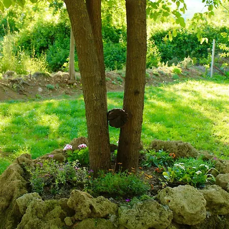 בית נופש Trebizat Oasis *