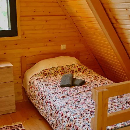 Trebizat Oasis 別荘